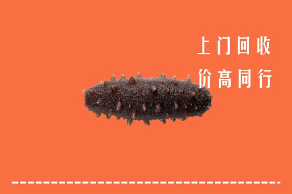 高价求购：锦州回收海参